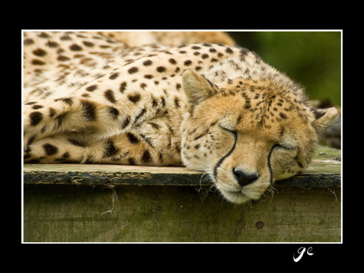 356765 (a): :1600x1200